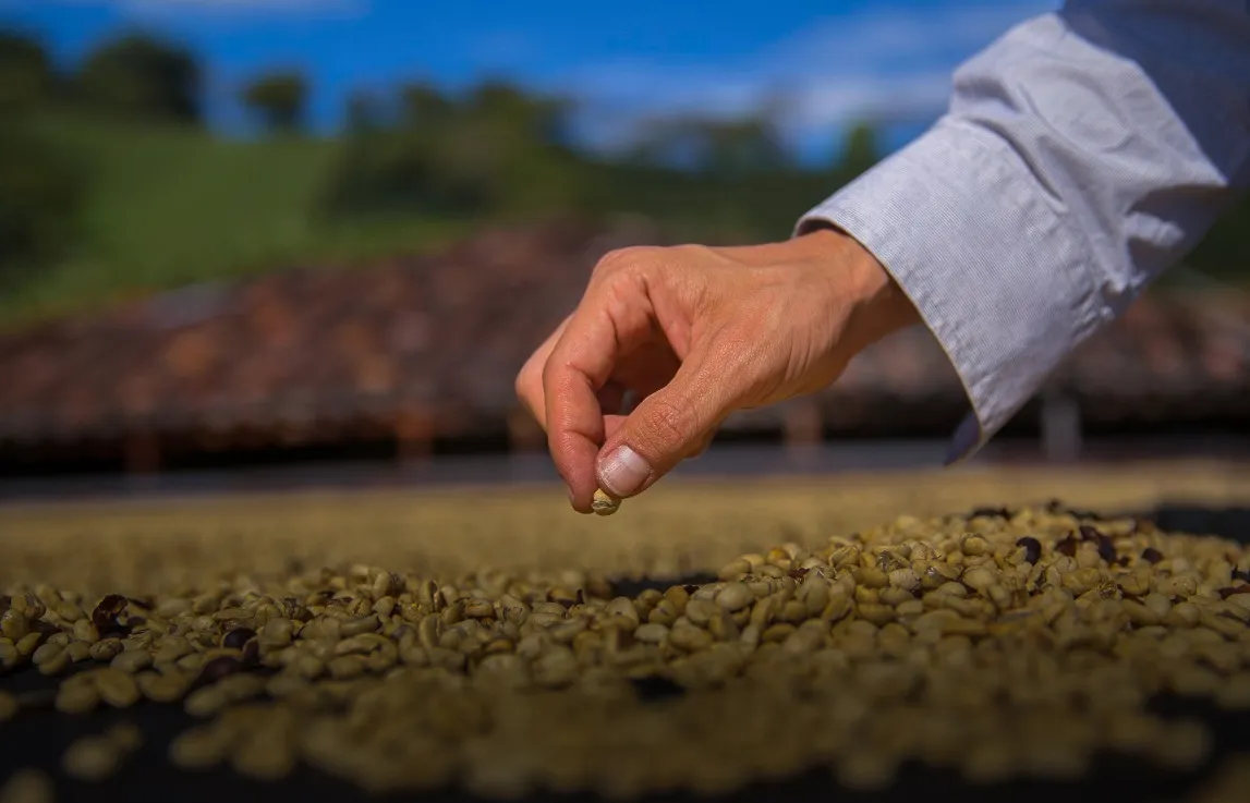 Producto: Café de Especialidad
