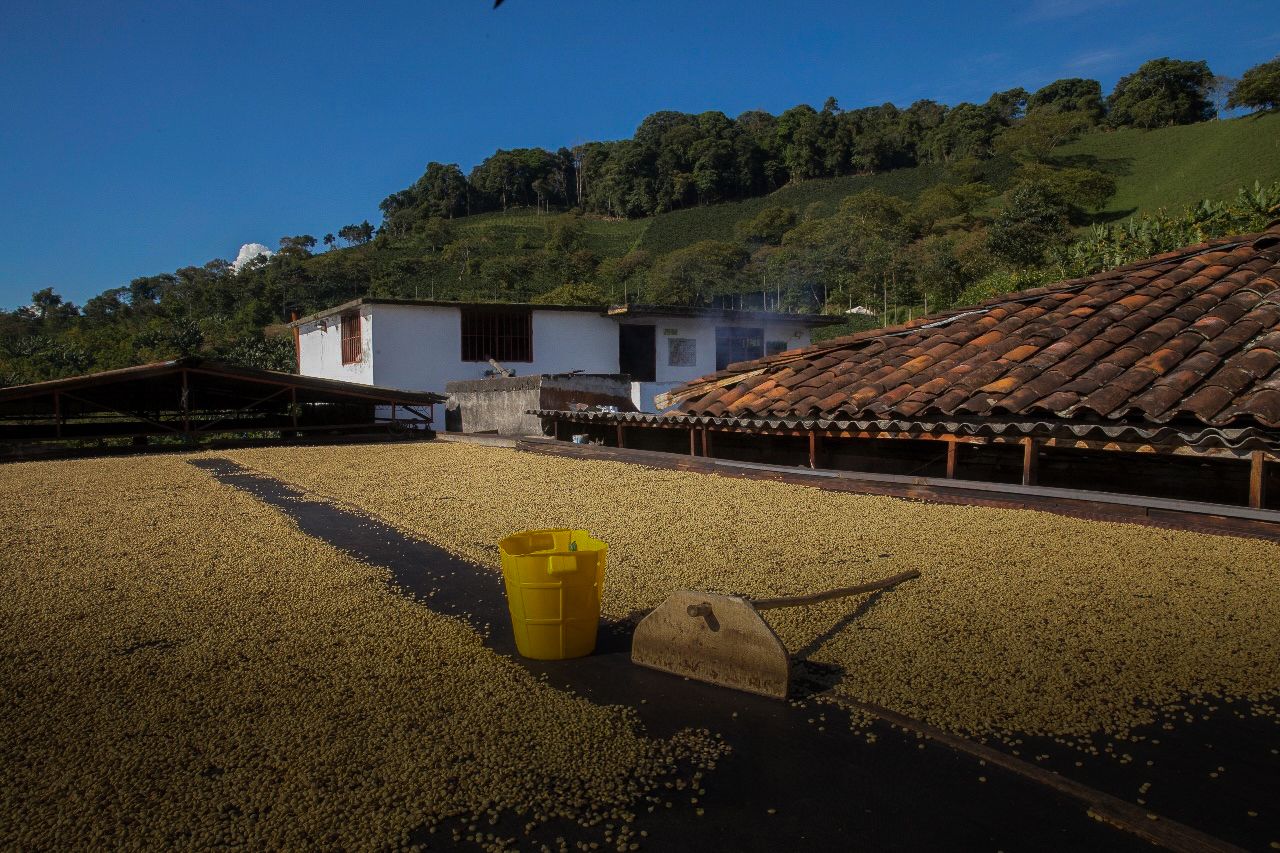 Café de especialidad La Cucha